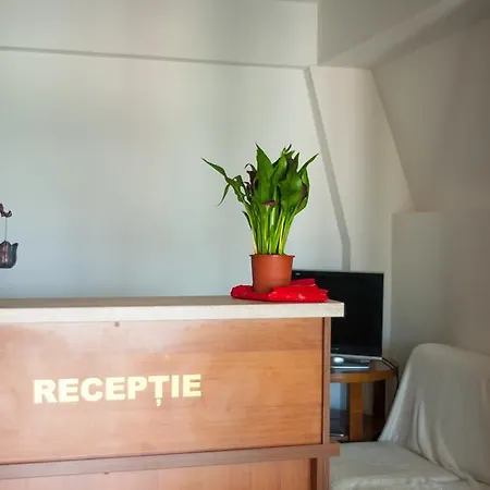 Pensjonat Pensiunea Acasa 3*